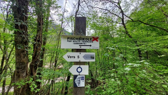 Panneau de signalisation en forêt avec plusieurs directions indiquées.