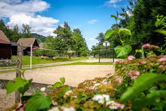 Un paysage de campagne avec des chalets, un terrain de volley et des fleurs au premier plan.