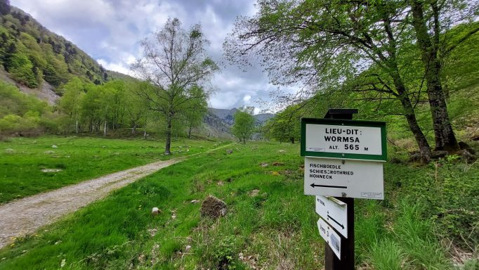 Panneau d'information sur un chemin de randonnée entouré de verdure et de collines.